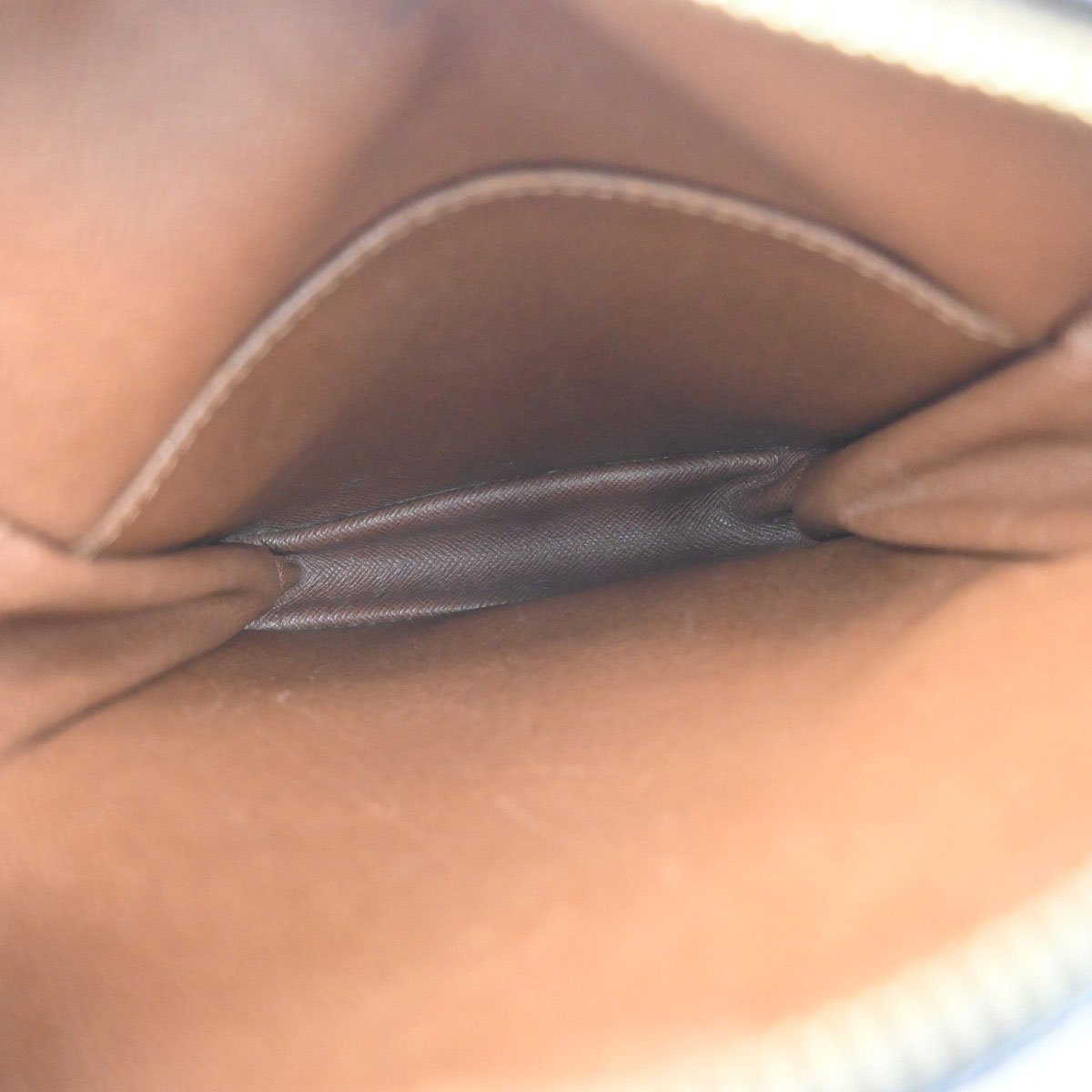 Louis Vuitton Louis Vuitton Danube Handbag Monogram Canvas PM Bruin