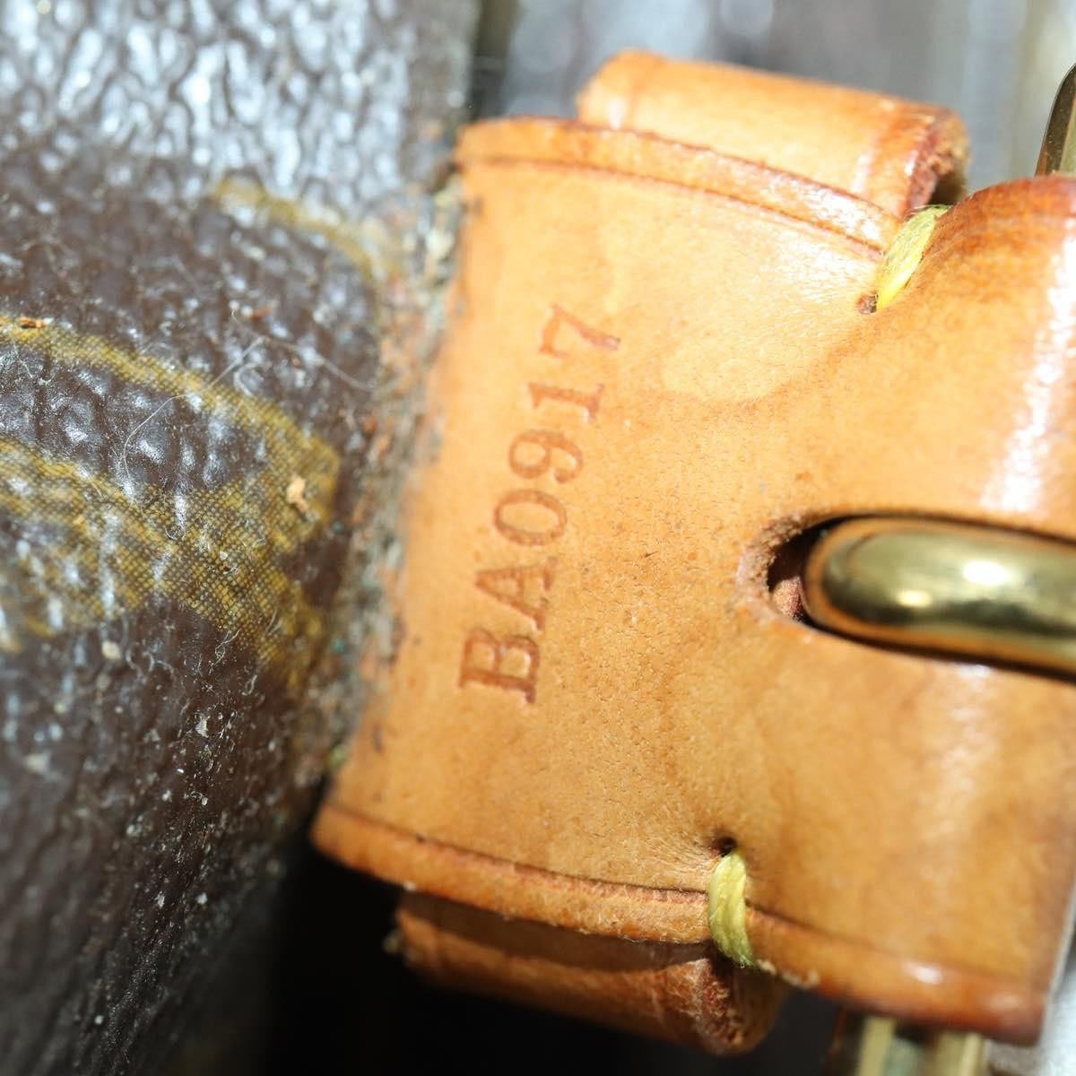 Louis Vuitton Louis Vuitton Montsouris Backpack Monogram Canvas GM Bruin