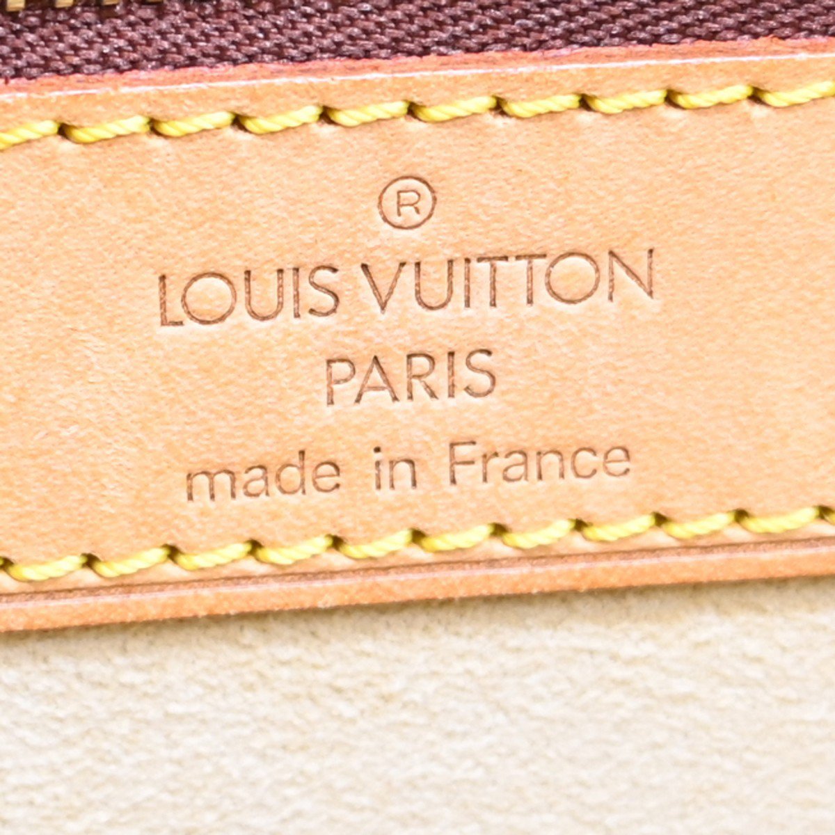 Louis Vuitton Cite Monogram Canvas GM Bruin