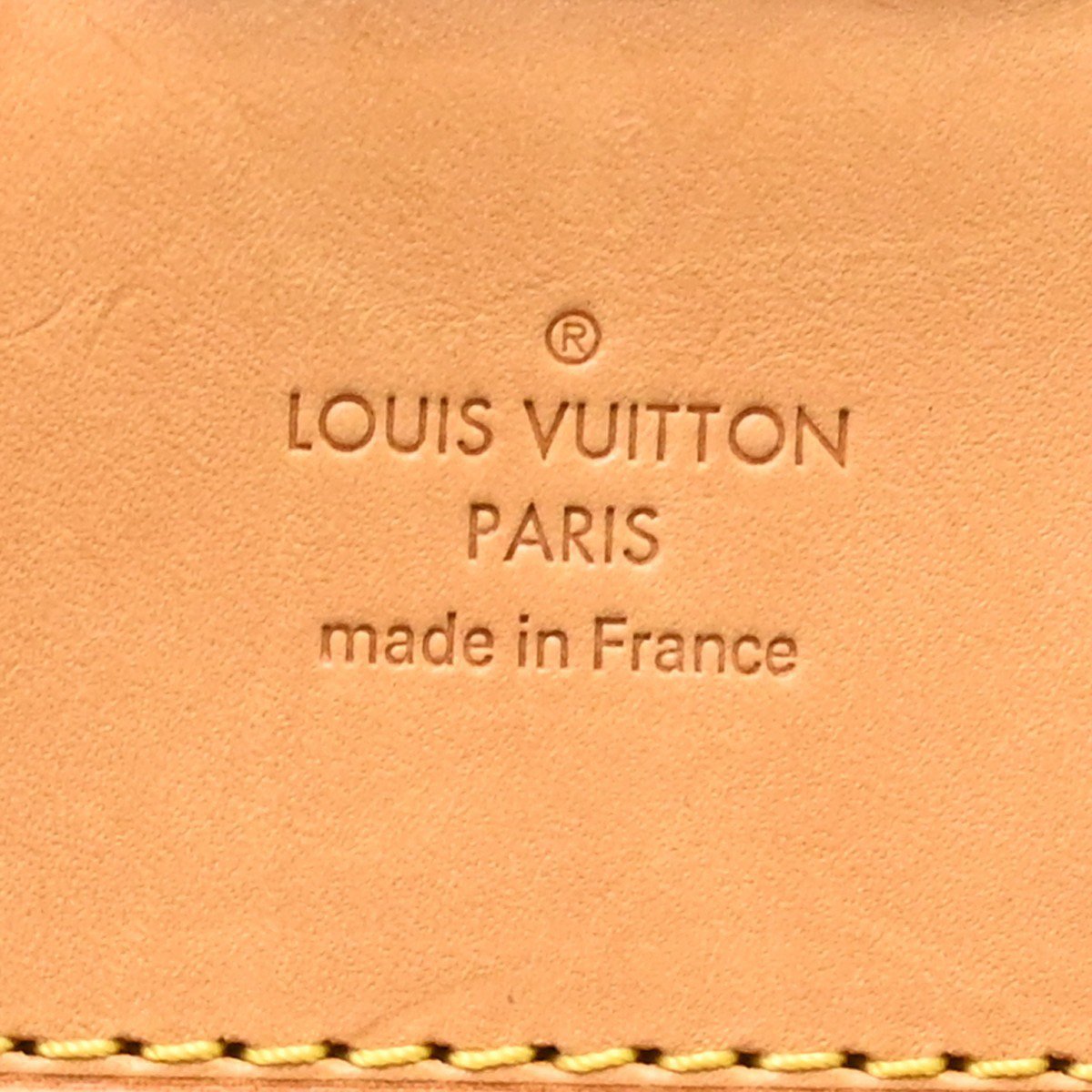 Louis Vuitton Montsouris NM Monogram Canvas PM Bruin