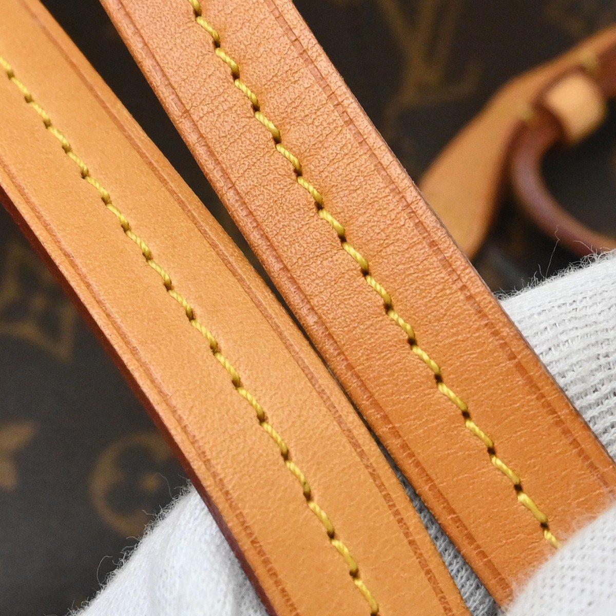Louis Vuitton Montsouris NM Monogram Canvas PM Bruin