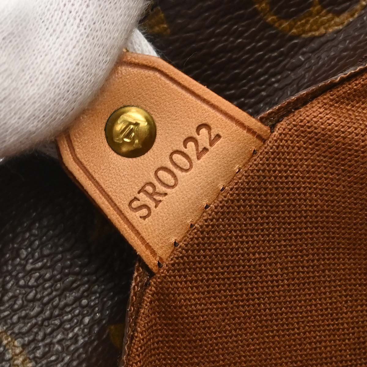 Louis Vuitton Vavin Monogram GM Bruin
