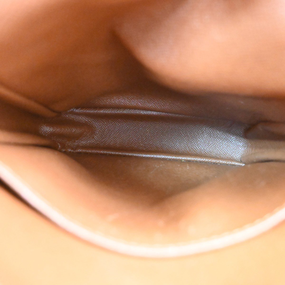 Louis Vuitton Amazone Monogram PM Bruin