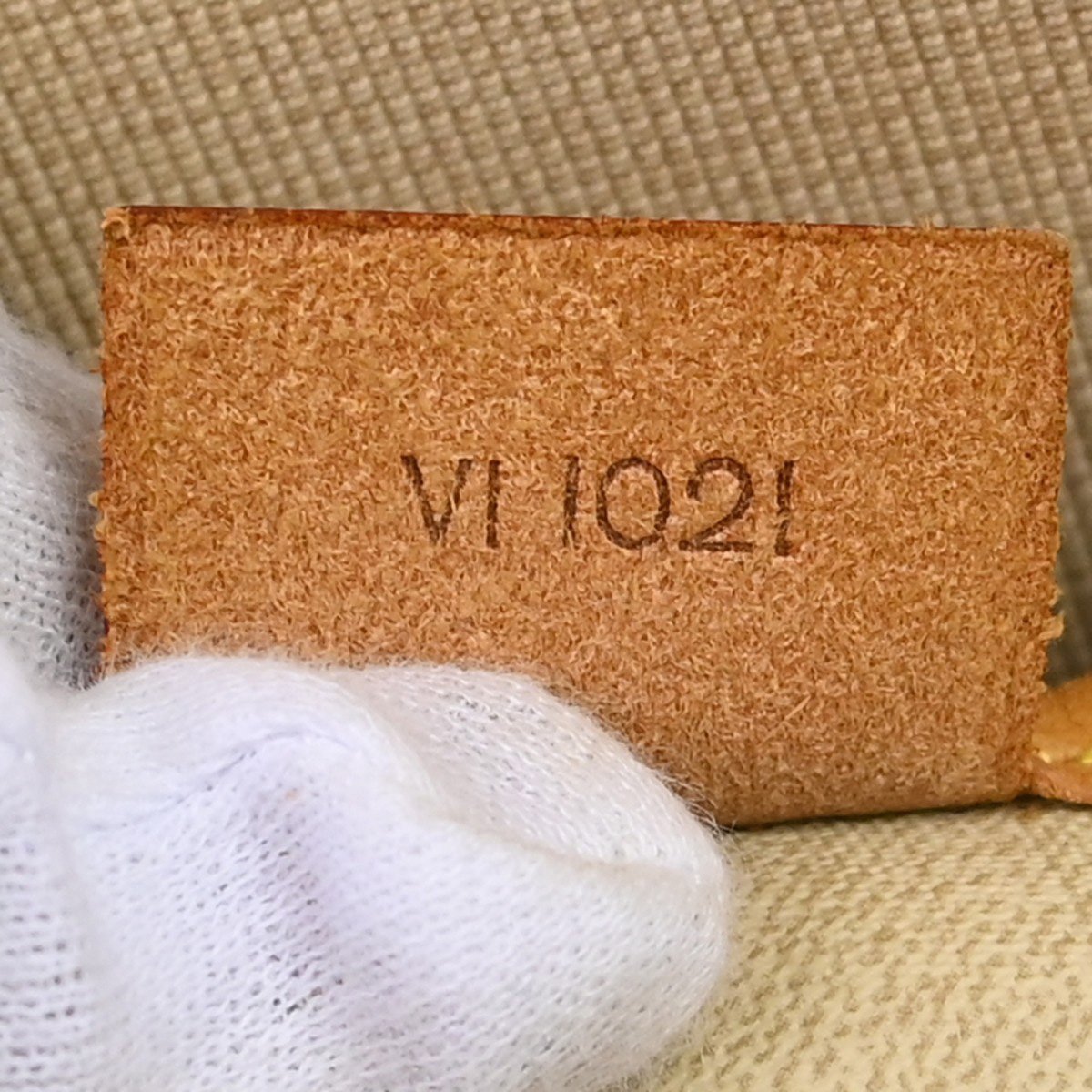 Louis Vuitton Excursion Monogram Bruin