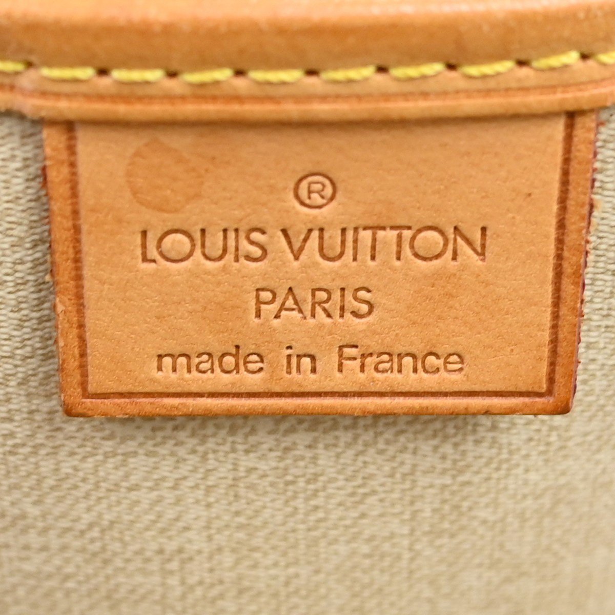 Louis Vuitton Excursion Monogram Bruin