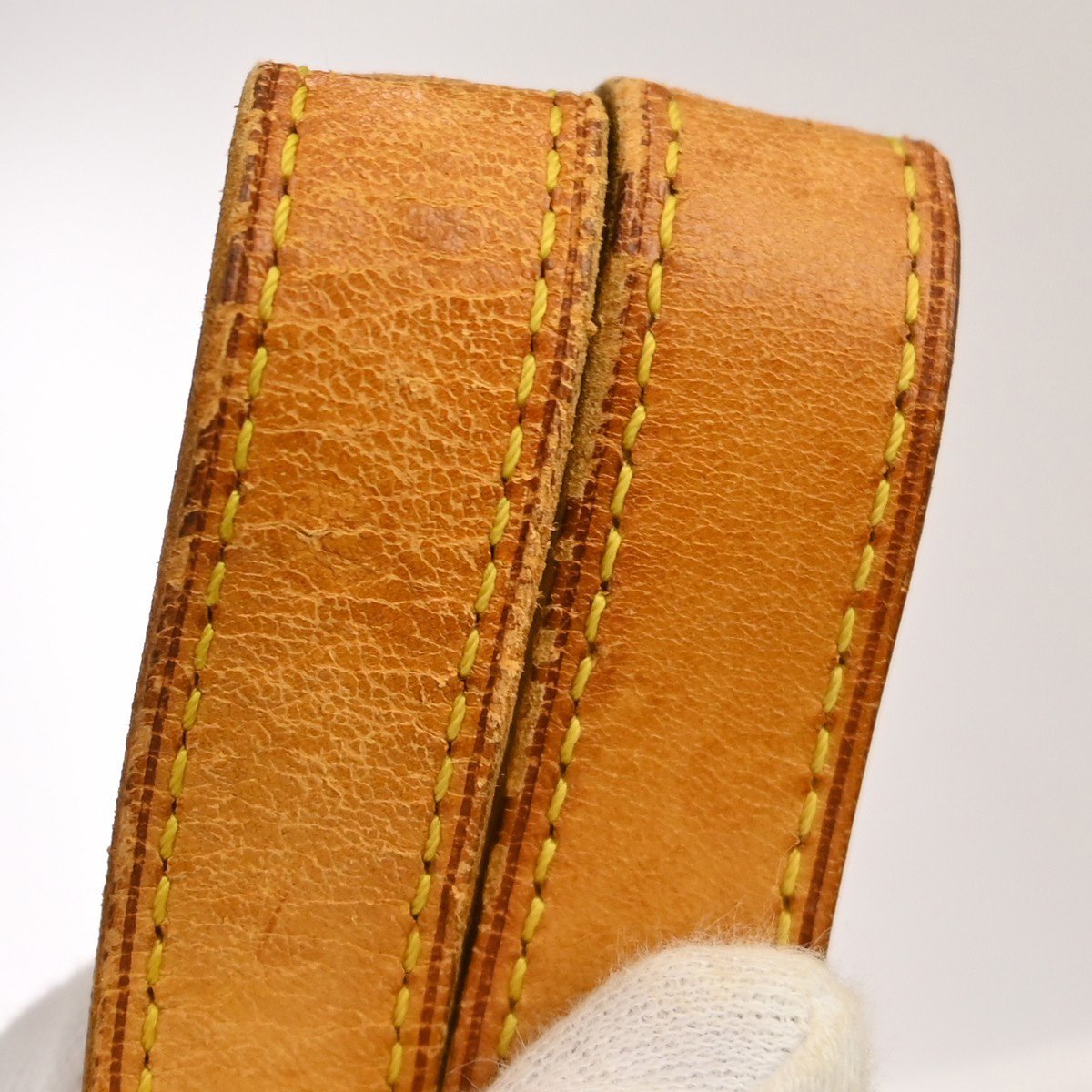 Louis Vuitton Excursion Monogram Bruin