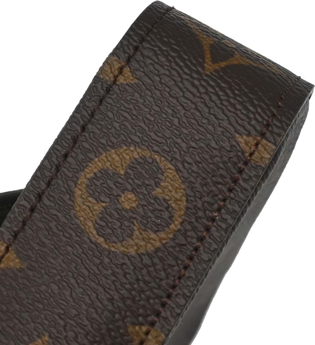 Louis Vuitton Felicie Strap & Go Monogram Canvas Large Bruin