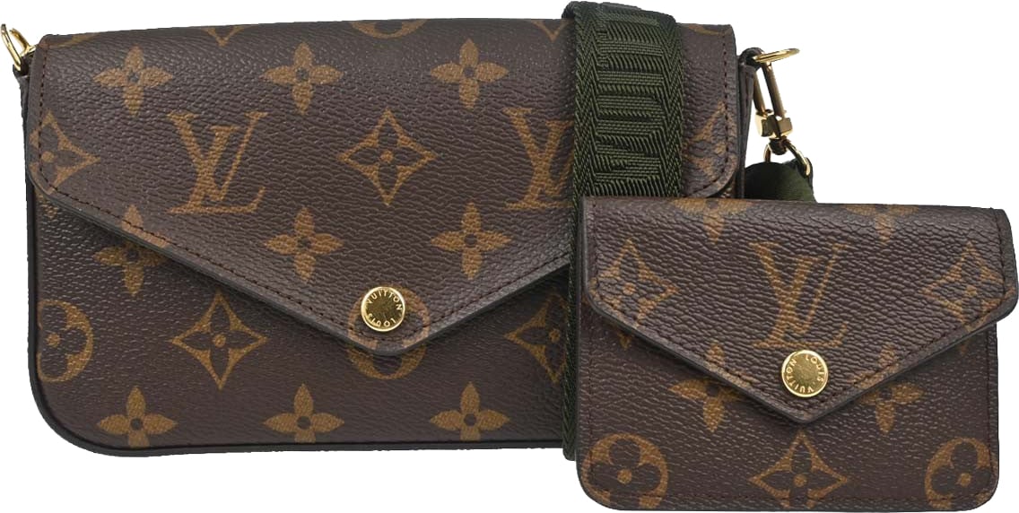 Louis Vuitton Felicie Strap & Go Monogram Canvas Large Bruin