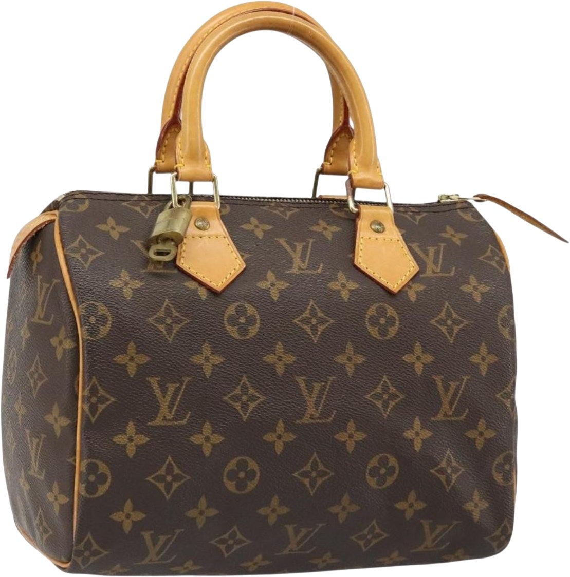 Louis Vuitton Speedy Monogram Canvas 25 Bruin