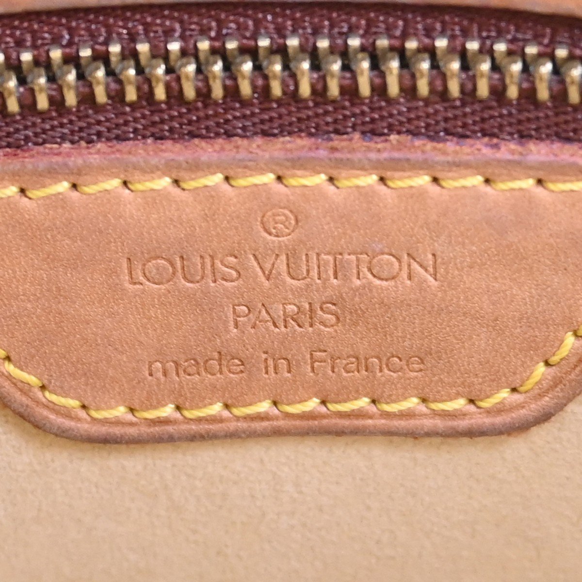 Louis Vuitton Loop Hobo Canvas GM Bruin