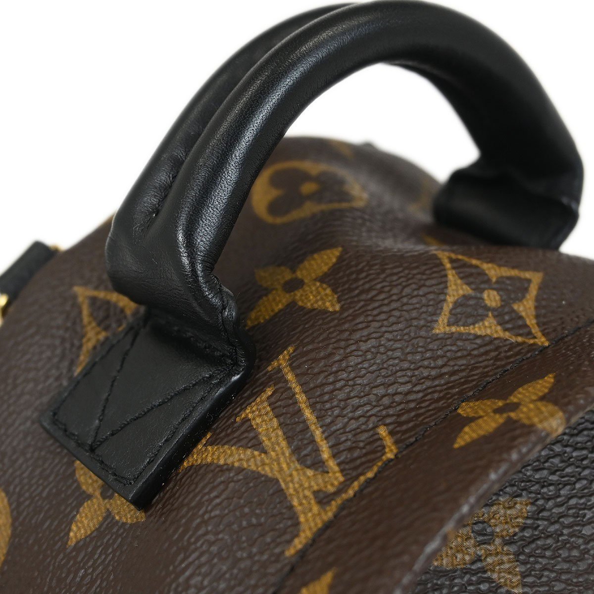 Louis Vuitton Louis Vuitton Palm Springs Backpack Limited Edition World Tour Monogram Canvas Mini Bruin