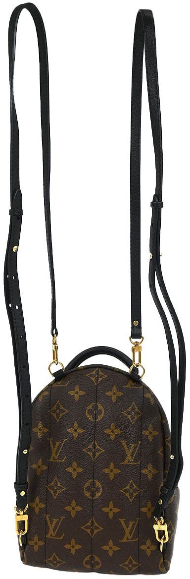 Louis Vuitton Louis Vuitton Palm Springs Backpack Limited Edition World Tour Monogram Canvas Mini Bruin