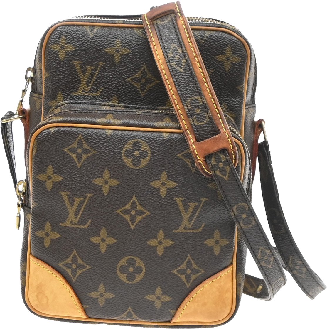Louis Vuitton Amazone Monogram Canvas PM Bruin
