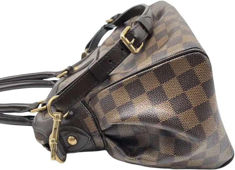 Louis Vuitton Trevi Damier Ebene PM Bruin