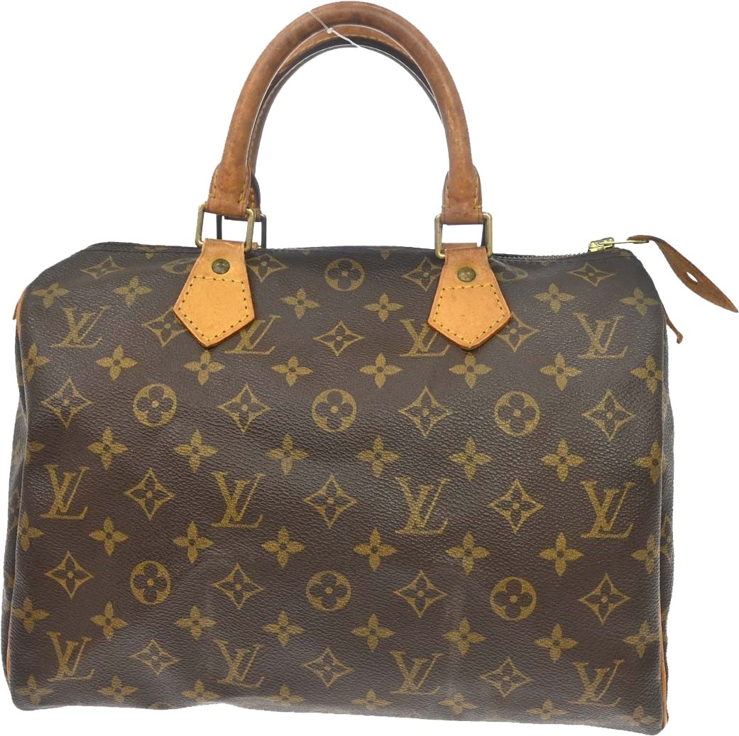 Louis Vuitton Speedy Monogram Canvas 30 Bruin