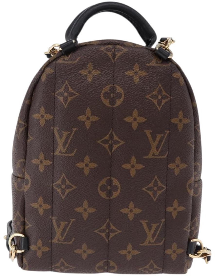 Louis Vuitton Palm Springs Monogram Mini Bruin