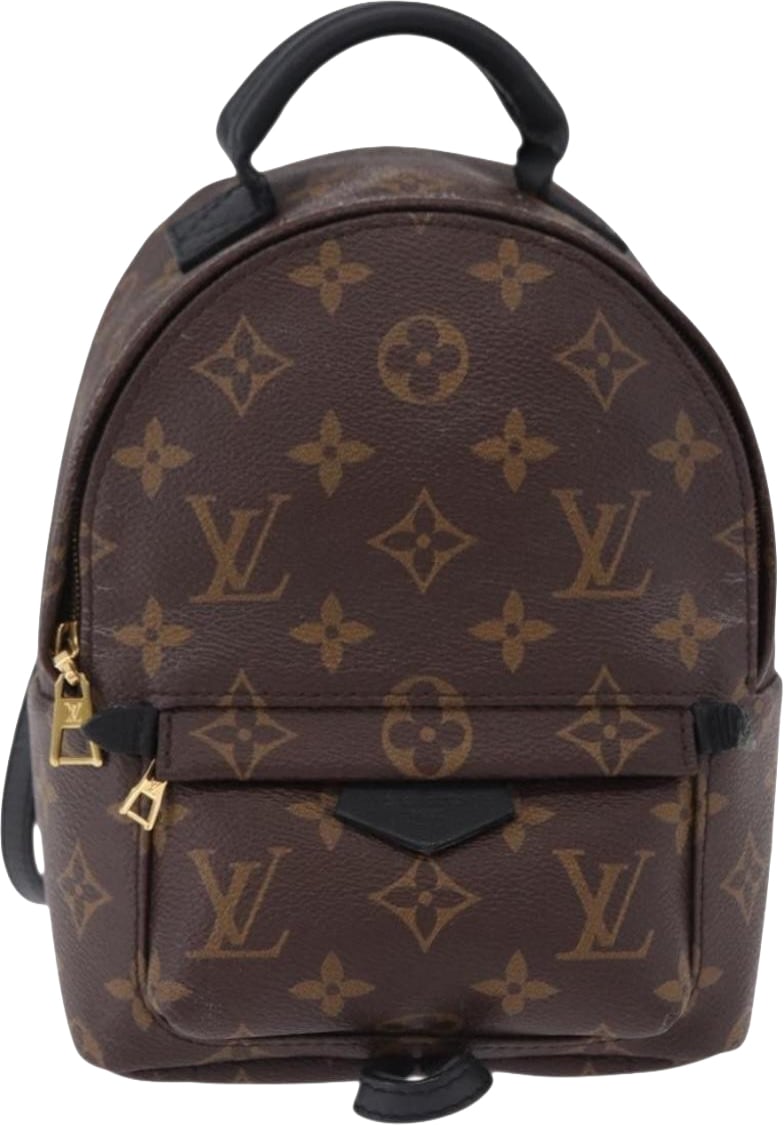 Louis Vuitton Palm Springs Monogram Mini Bruin