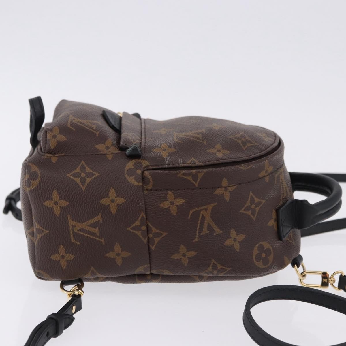 Louis Vuitton Palm Springs Monogram Mini Bruin