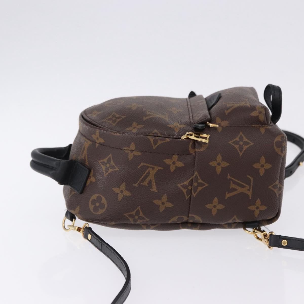 Louis Vuitton Palm Springs Monogram Mini Bruin