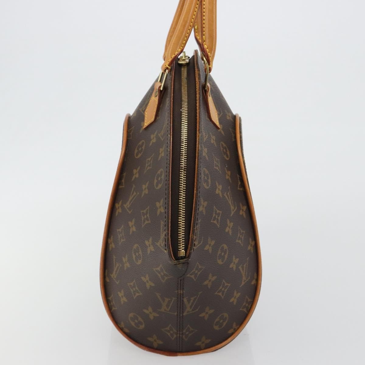 Louis Vuitton Ellipse Monogram Canvas MM Bruin