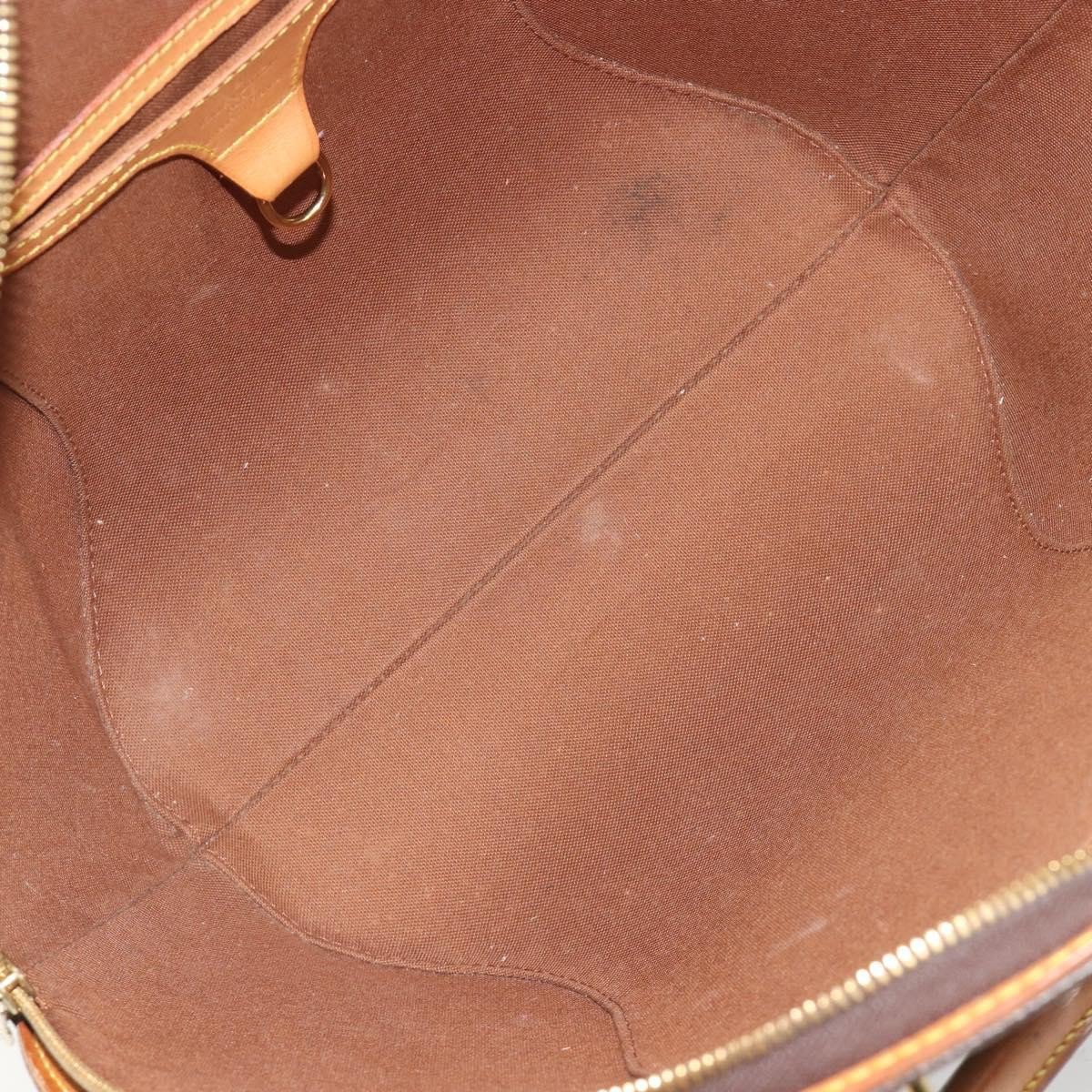 Louis Vuitton Ellipse Monogram Canvas MM Bruin