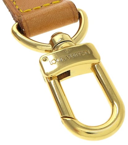 Louis Vuitton Gaston Strap Fabric Bruin