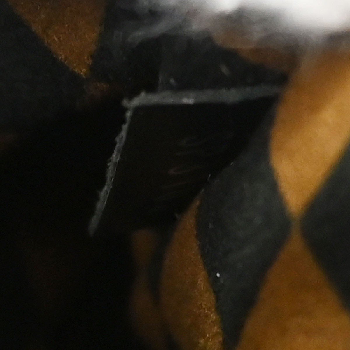 Louis Vuitton Louis Vuitton NeoNoe Handbag Limited Edition Colored Damier MM Divers