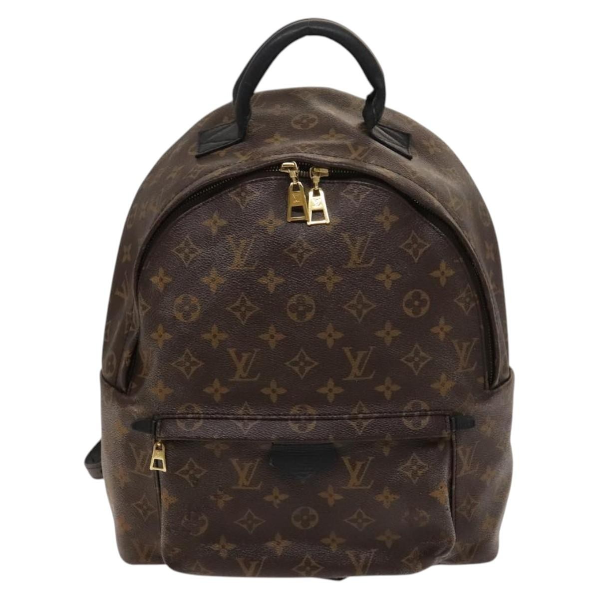 Louis Vuitton Louis Vuitton Palm Springs Backpack Monogram Canvas MM Bruin