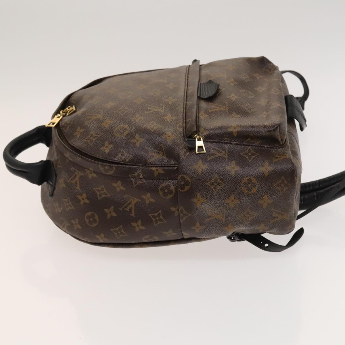 Louis Vuitton Louis Vuitton Palm Springs Backpack Monogram Canvas MM Bruin