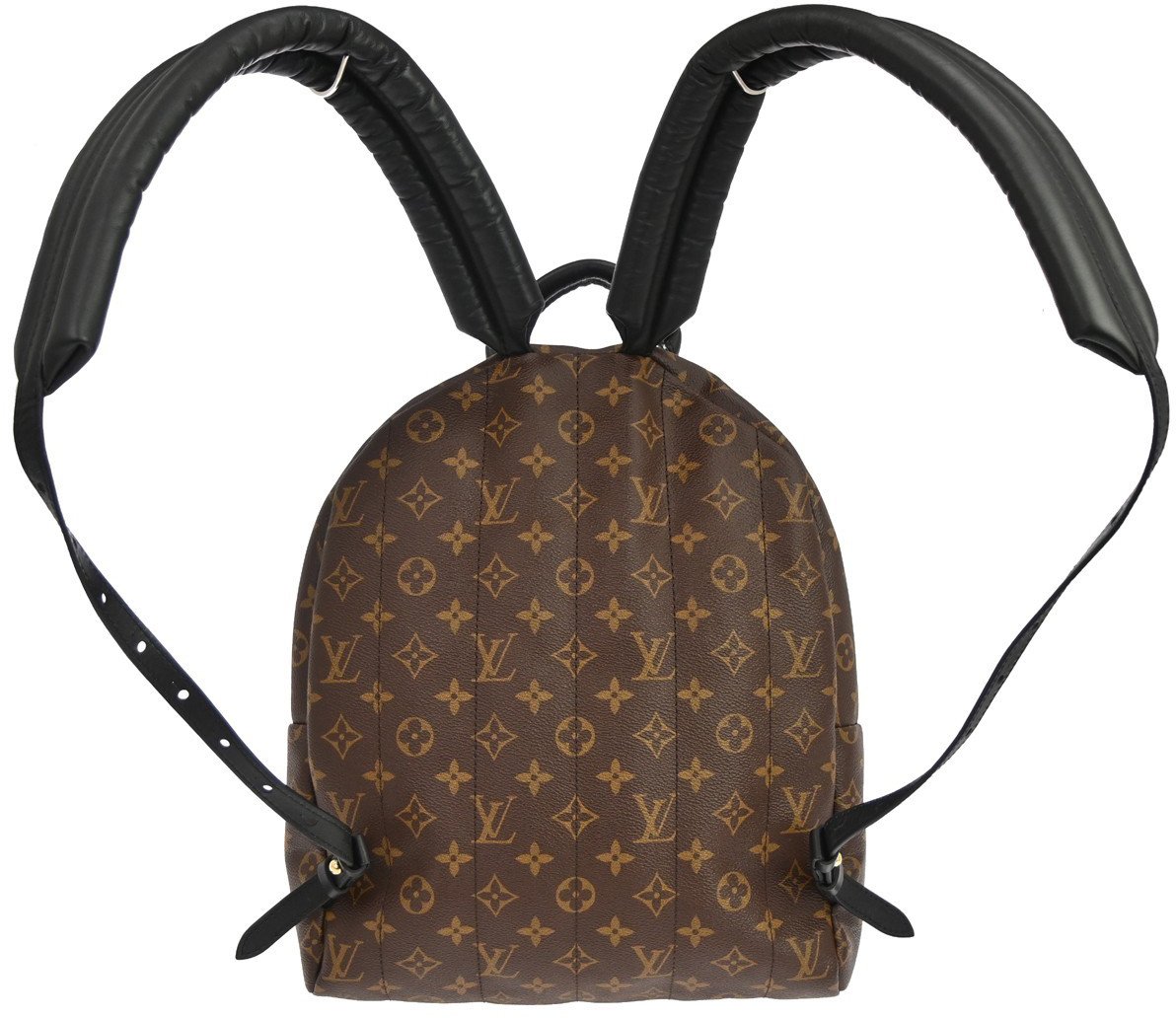 Louis Vuitton Louis Vuitton Palm Springs Backpack Monogram Canvas MM Bruin