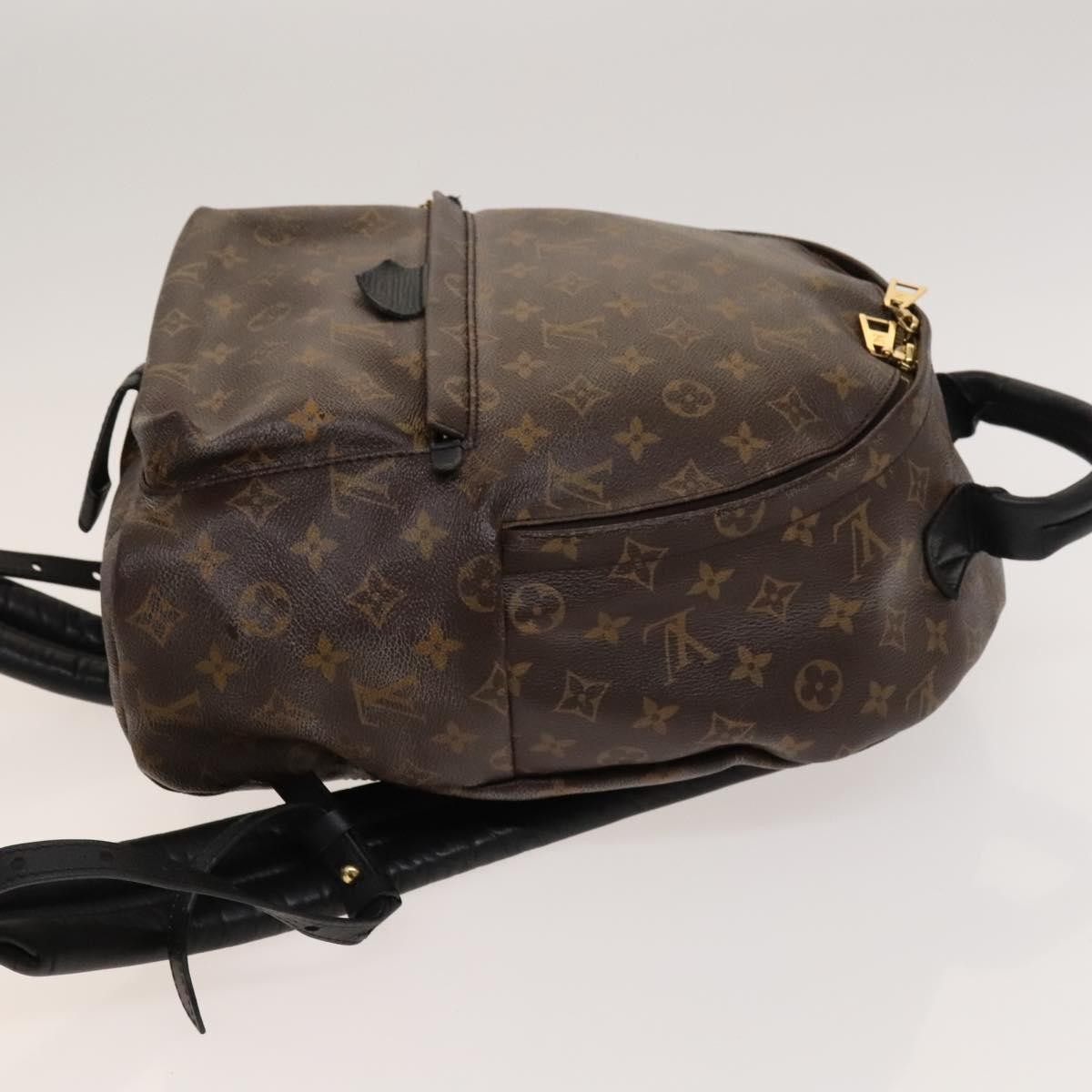 Louis Vuitton Louis Vuitton Palm Springs Backpack Monogram Canvas MM Bruin