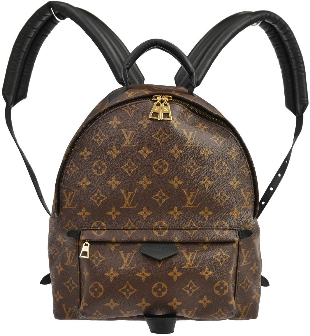 Louis Vuitton Louis Vuitton Palm Springs Backpack Monogram Canvas MM Bruin