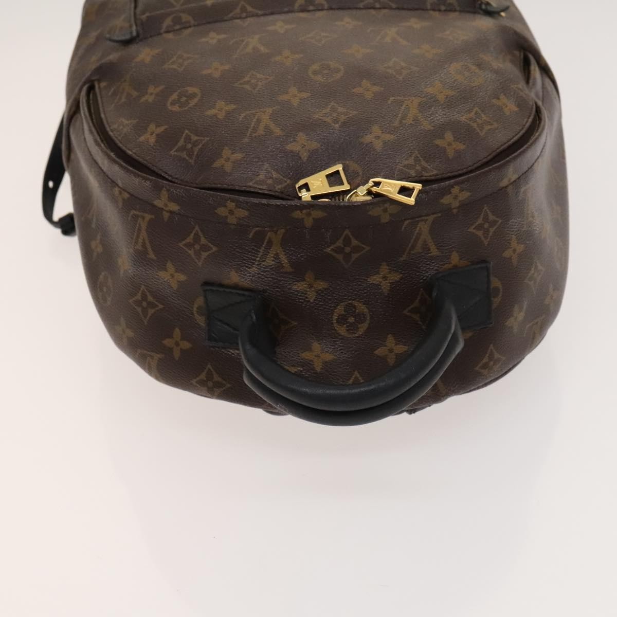 Louis Vuitton Louis Vuitton Palm Springs Backpack Monogram Canvas MM Bruin