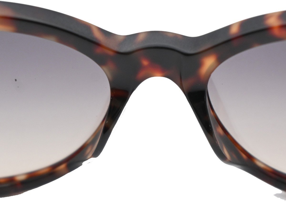 Louis Vuitton Louis Vuitton Charlotte Sunglasses Plastic Bruin