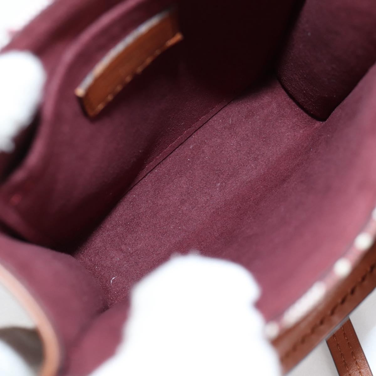 Louis Vuitton Louis Vuitton Petit Sac Plat Bag Limited Edition Since 1854 Monogram Jacquard Bruin