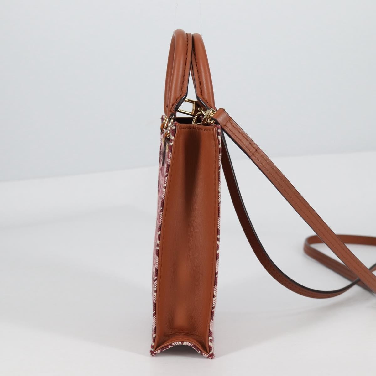 Louis Vuitton Louis Vuitton Petit Sac Plat Bag Limited Edition Since 1854 Monogram Jacquard Bruin