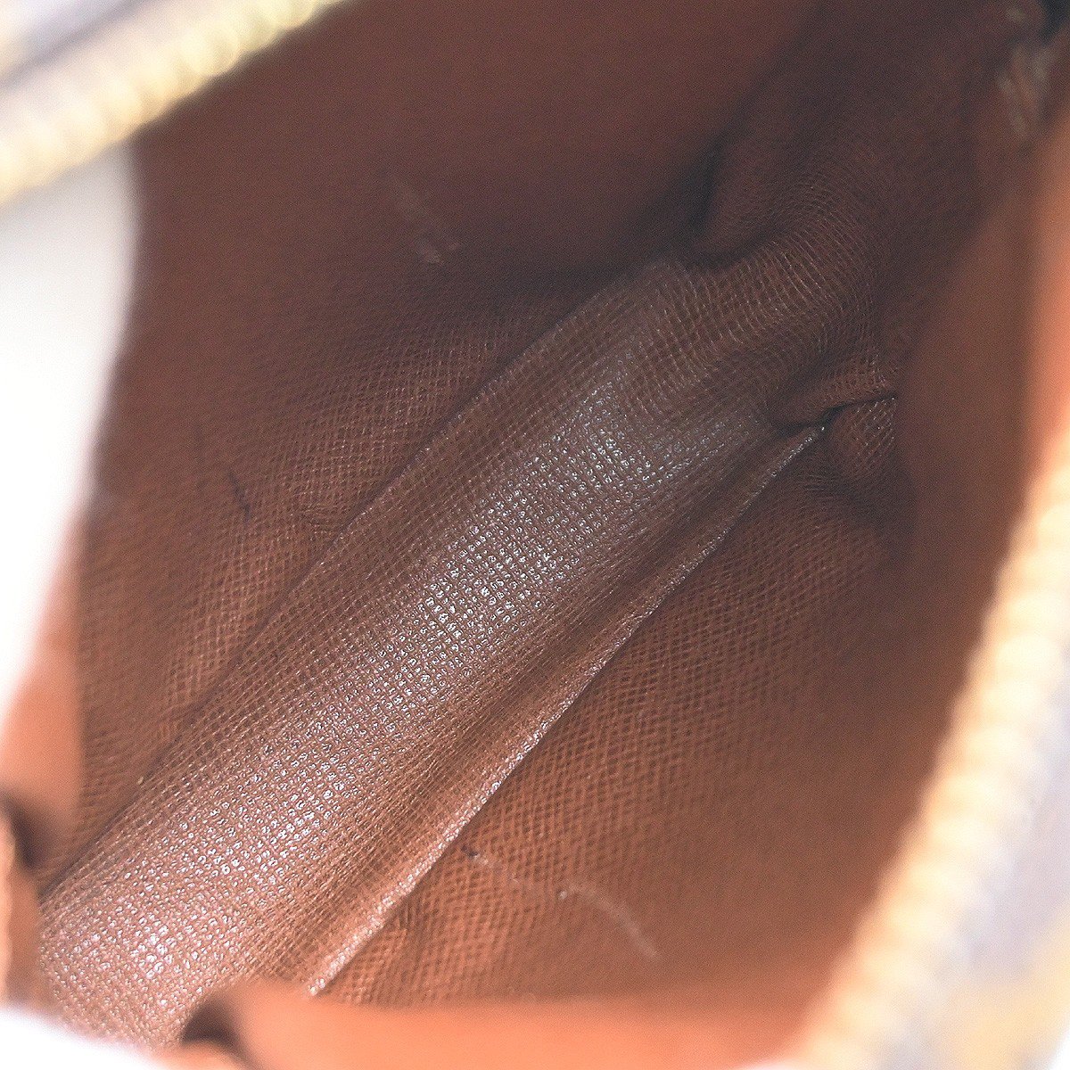 Louis Vuitton Danube Monogram Mini Bruin