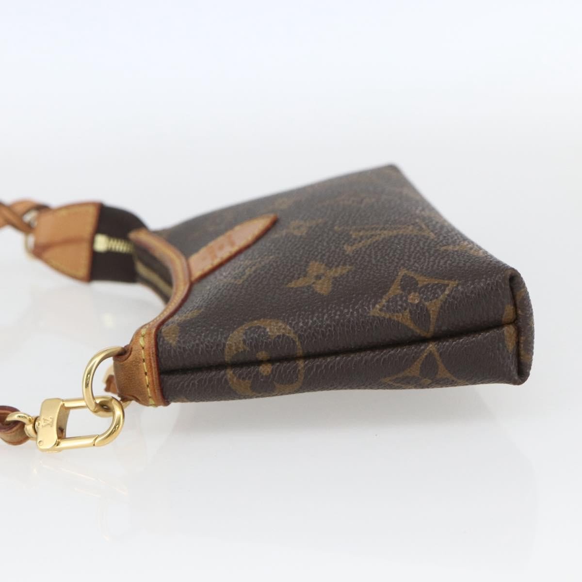 Louis Vuitton Delightful Pochette Monogram Canvas Mini Bruin