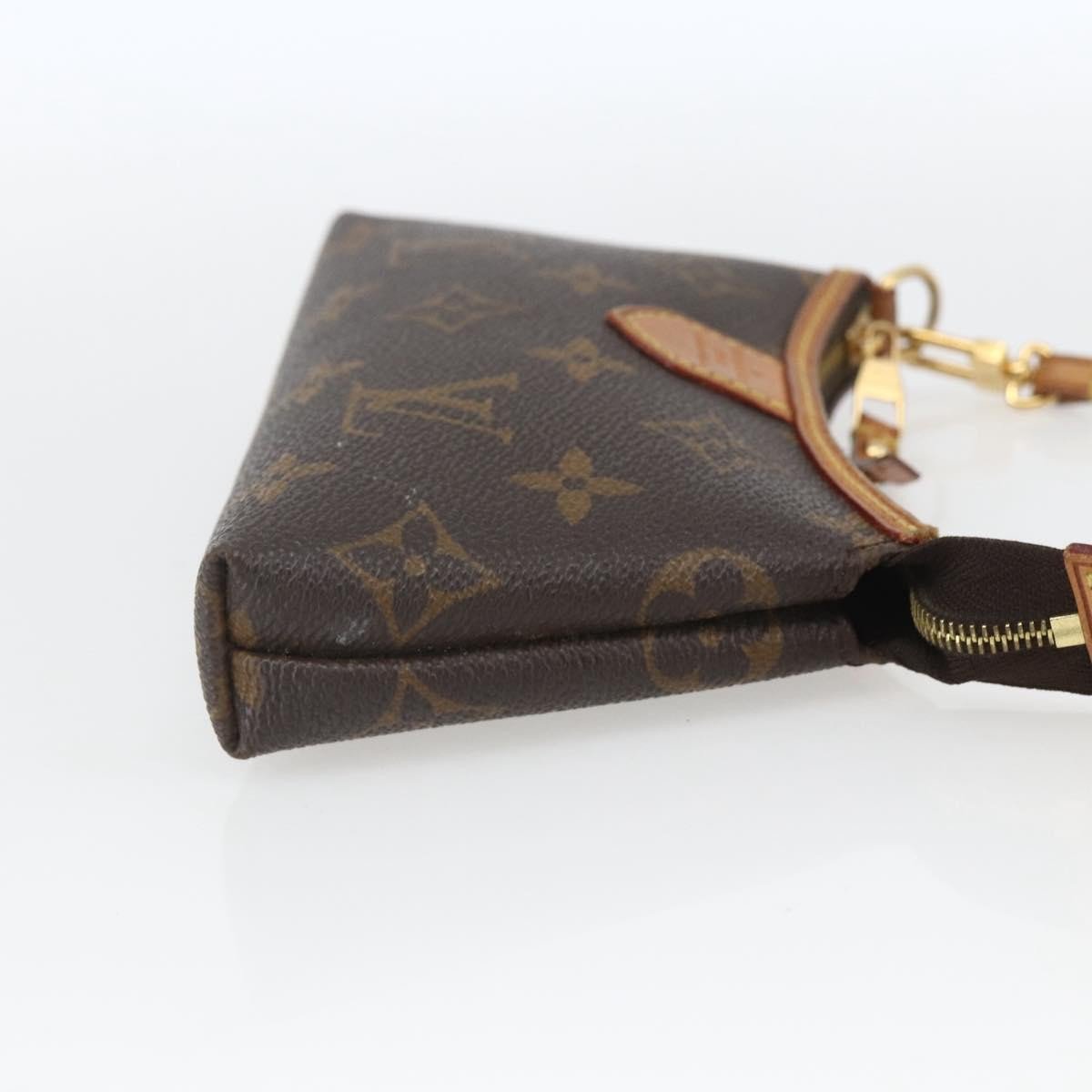 Louis Vuitton Delightful Pochette Monogram Canvas Mini Bruin