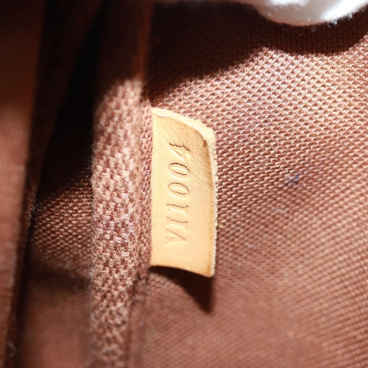 Louis Vuitton Louis Vuitton Pochette Accessoires Limited Edition Monogram Murakami Panda Bruin