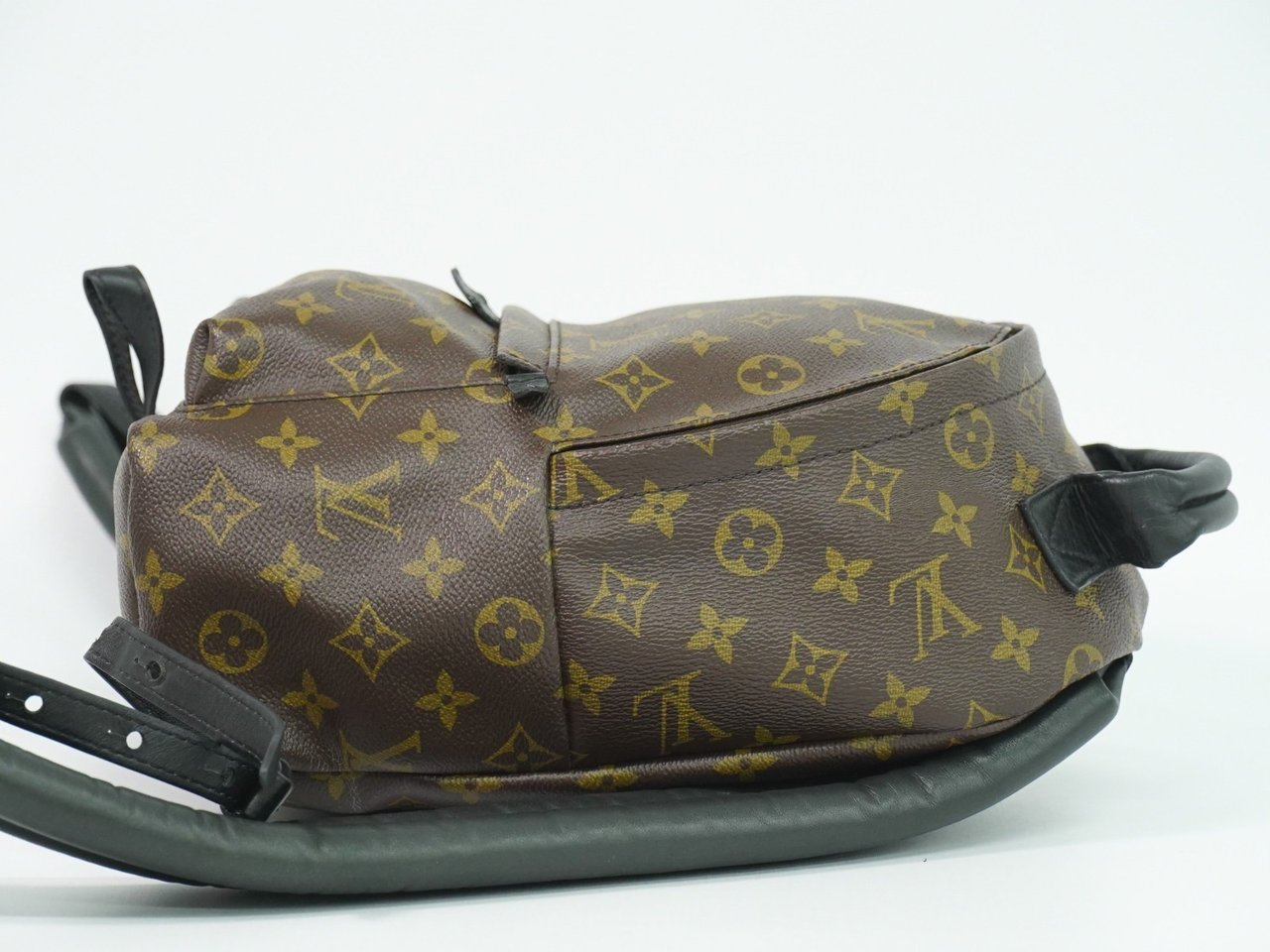 Louis Vuitton Louis Vuitton Palm Springs Backpack Monogram Canvas PM Bruin