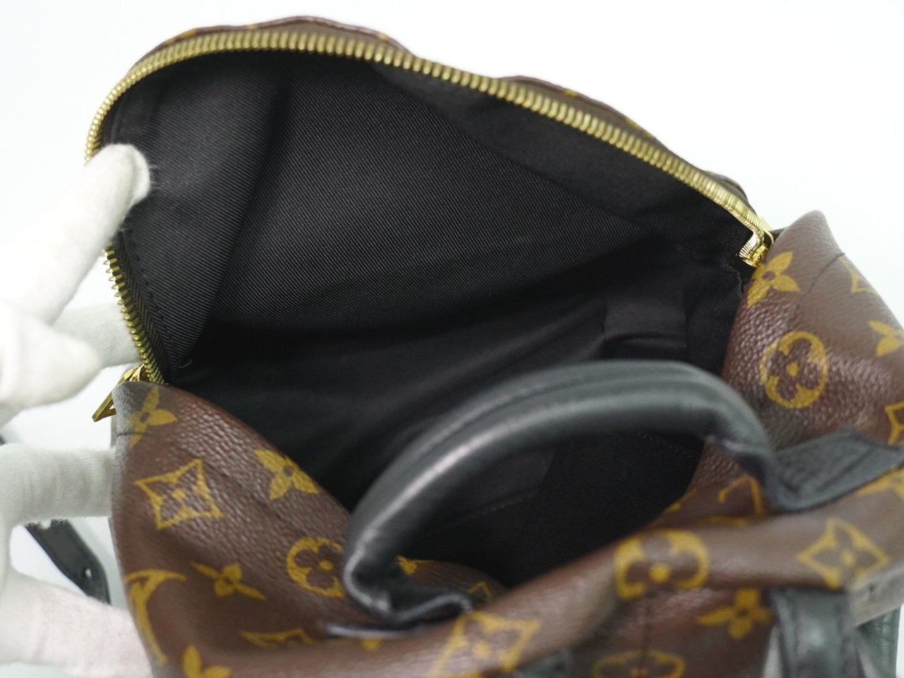 Louis Vuitton Louis Vuitton Palm Springs Backpack Monogram Canvas PM Bruin