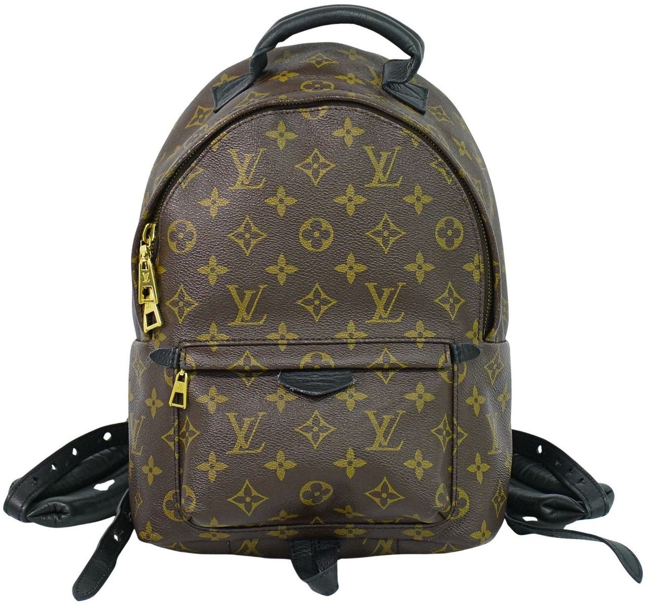 Louis Vuitton Louis Vuitton Palm Springs Backpack Monogram Canvas PM Bruin