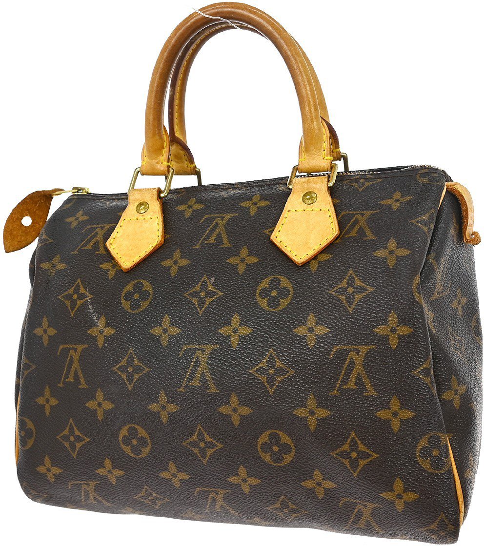 Louis Vuitton Speedy Monogram 25 Bruin