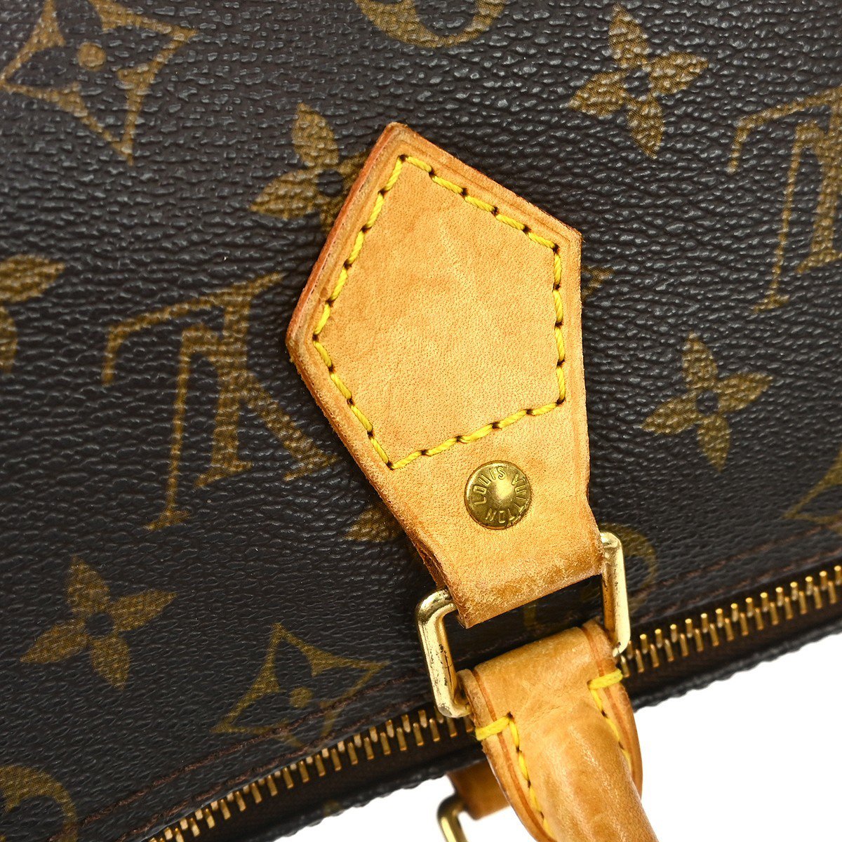 Louis Vuitton Speedy Monogram 25 Bruin