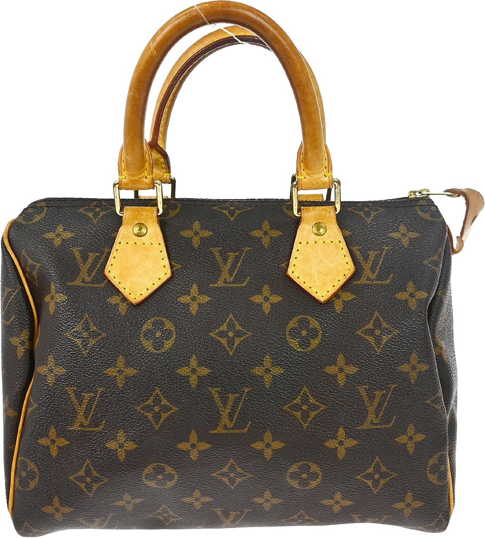 Louis Vuitton Speedy Monogram 25 Bruin