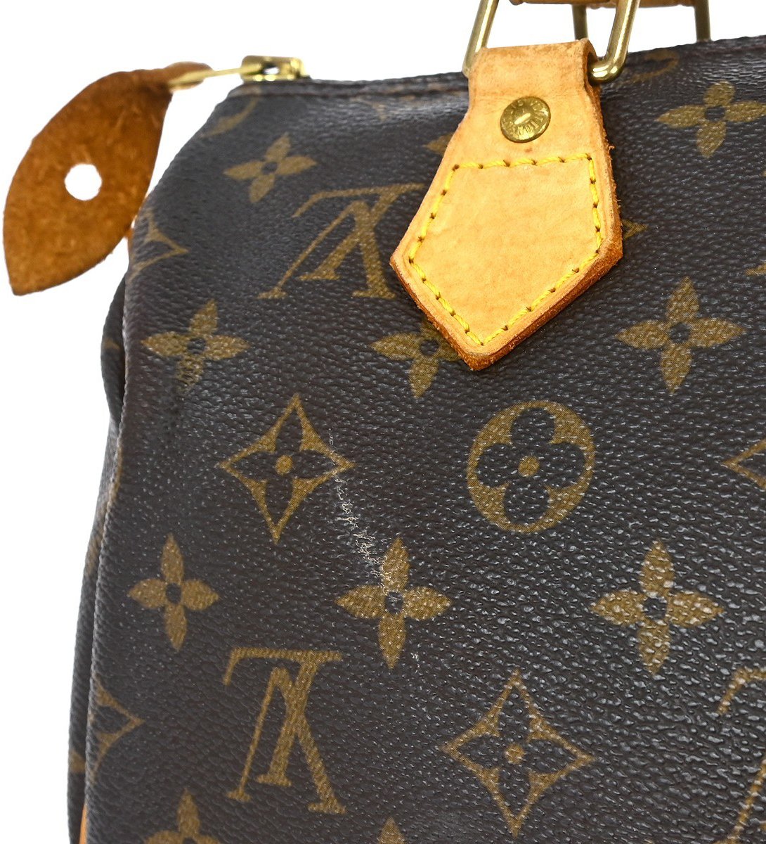Louis Vuitton Speedy Monogram 25 Bruin