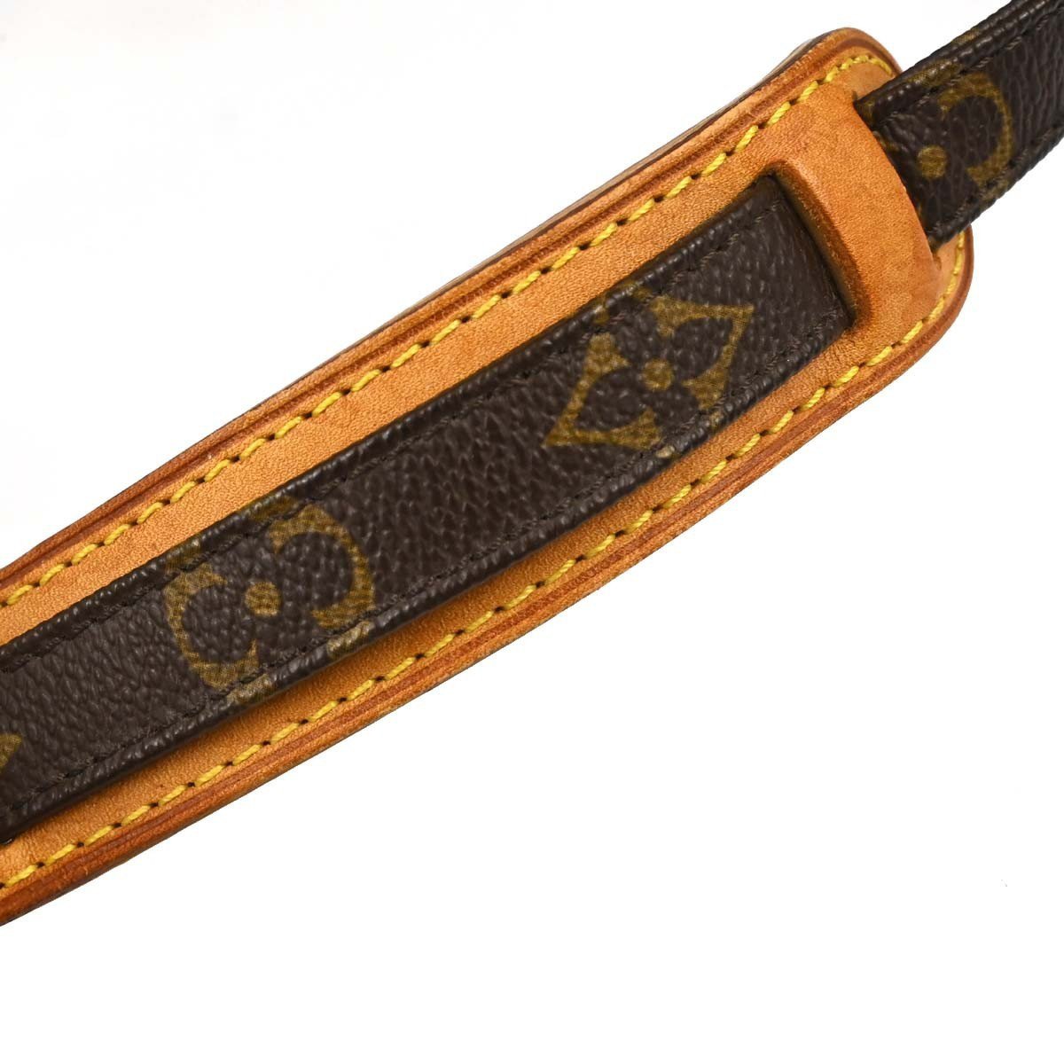 Louis Vuitton Danube Monogram PM Bruin