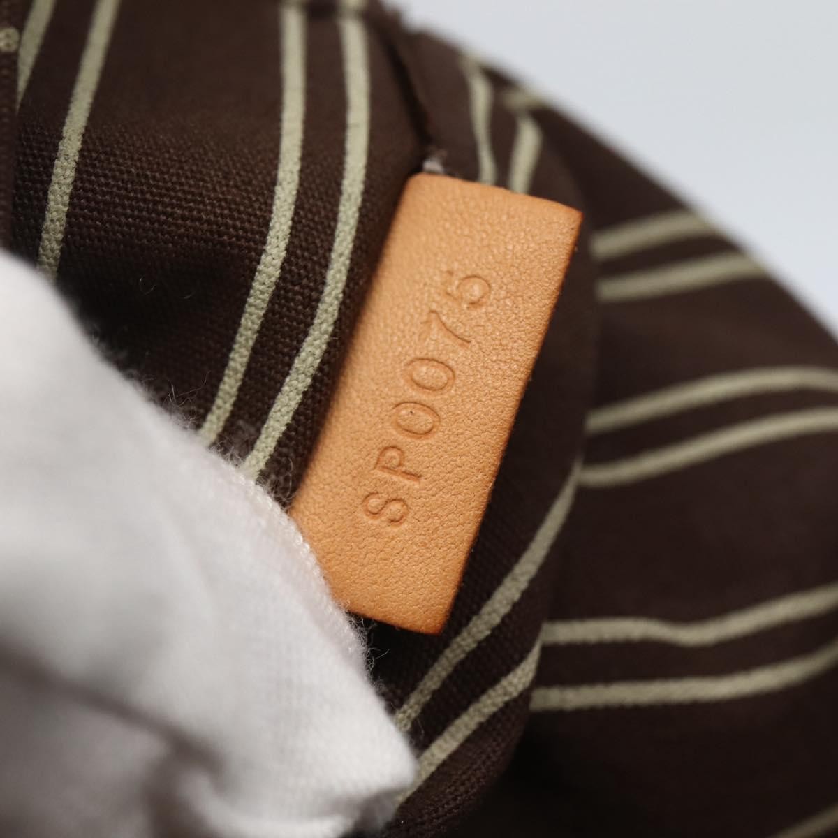 Louis Vuitton Louis Vuitton Antigua Tote Canvas GM Bruin