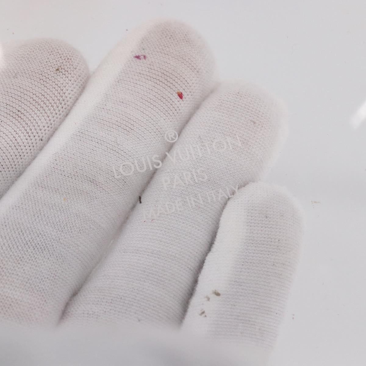 Louis Vuitton Louis Vuitton Box Scott Trunk Monogram Plexiglass Divers